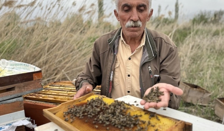 Kış Soğukları Erzincan Arılarını Tehdit Ediyor!