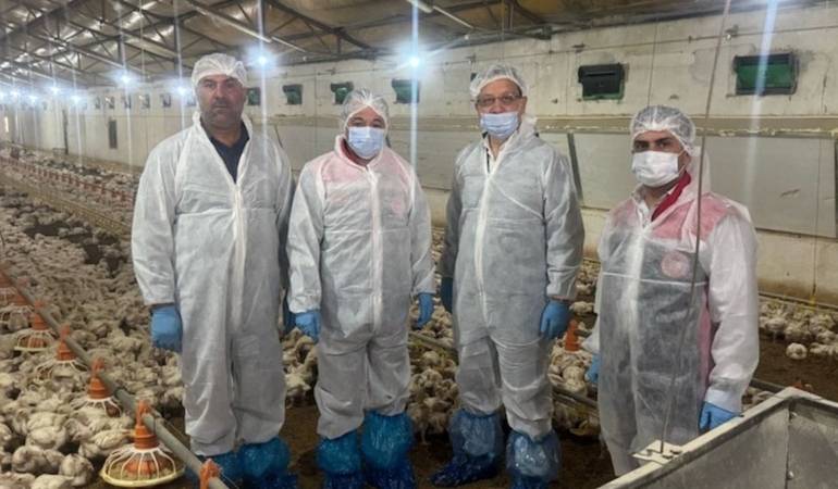 Erzincan’da Etlik Tavuk Yetiştiriciliği Gelişiyor