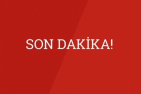 1738565355859-zsonkir.jpg