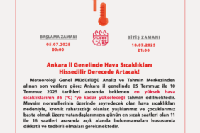 gvafr92w8aax3vm-1751659193-502-x750.png
