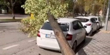 zvqQlZdbdUK73e3Asi3w4g.jpg