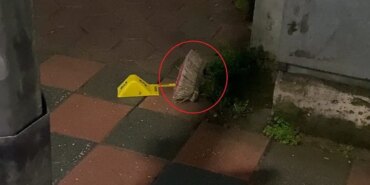 tartistigi-arkadasinin-kafatasini-kirdi-1770686114143.jpeg