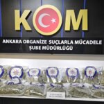 cankayada-operasyon-25-kilo-skunk-ele-gecirildi-2-gozalti-1777534554830.jpg