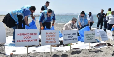 balikesir-de-deniz-copleri-izleme-programi-ile-kiyi-temizligi-yapildi-1780320881-601_large.webp.webp