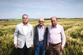 edirne-ipsala-dan-tmo-fiyatlarina-ortak-isyan-1780556826-239_large.webp.webp