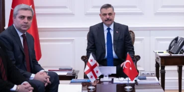 icisleri-bakanligi-nda-turkiye-gurcistan-temaslari-1780489458-758_large.webp.webp