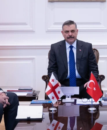 icisleri-bakanligi-nda-turkiye-gurcistan-temaslari-1780489458-758_large.webp.webp