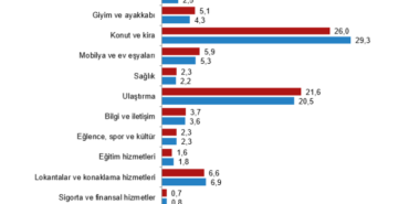 screenshot-2026-06-02-at-10-51-33-hanehalki-tuketim-harcamasi-2025-1780386710-178-x750.png